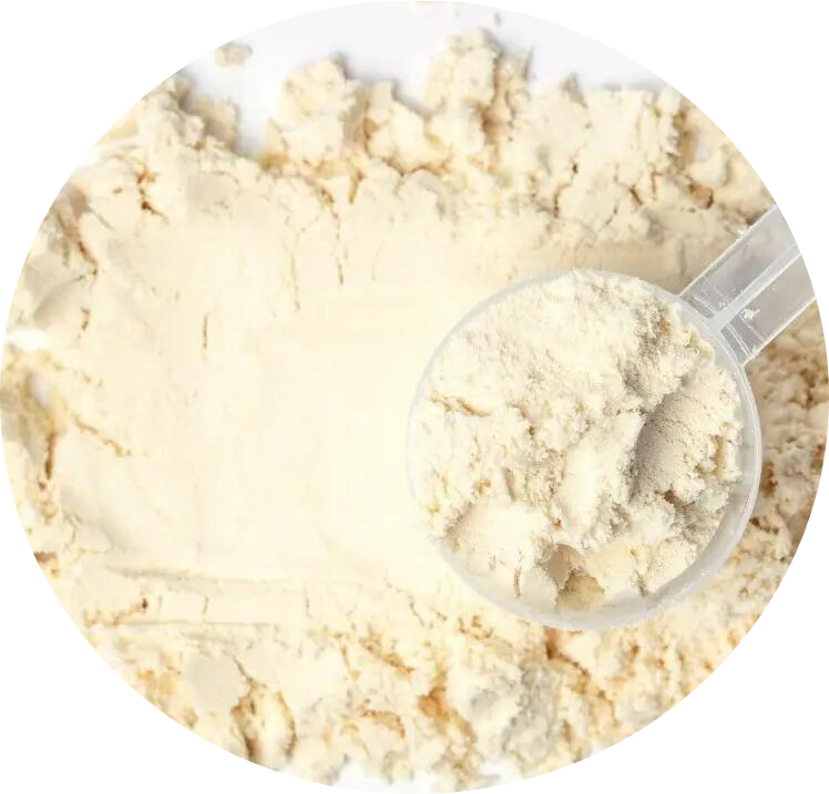 OEM custom supplement Protein Powder 80 bulk isolate concentrate 100% gold standard wholesale Whey Protein