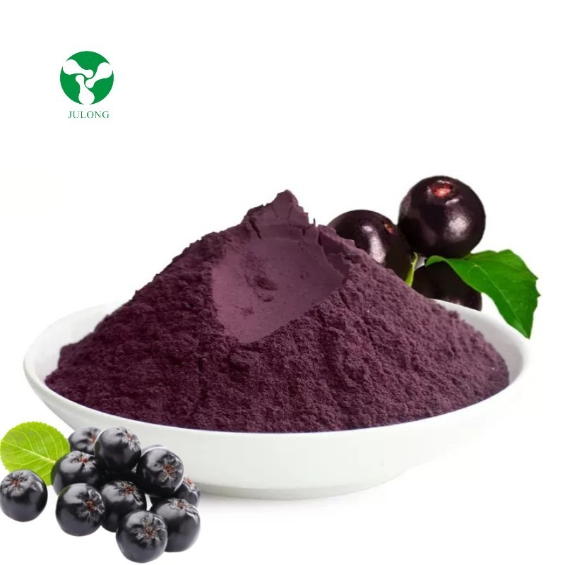 Wholesale Price Black Chokeberry Aronia Berry Powder With Anthocyanin