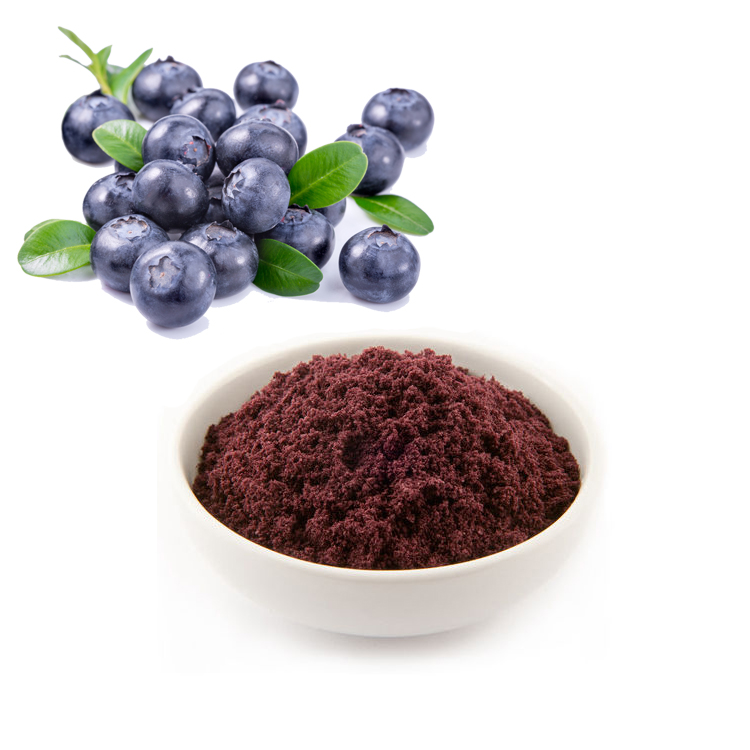 Wholesale Price Black Chokeberry Aronia Berry Powder With Anthocyanin