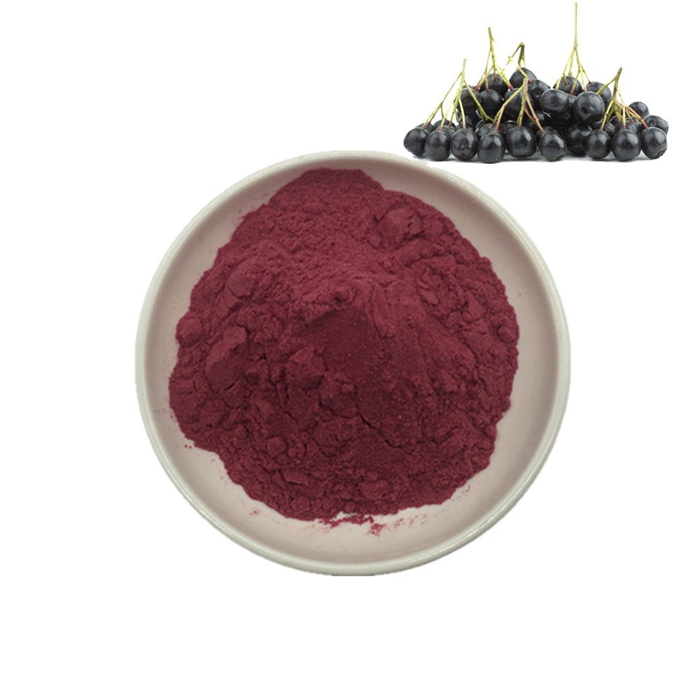 Wholesale Price Black Chokeberry Aronia Berry Powder With Anthocyanin