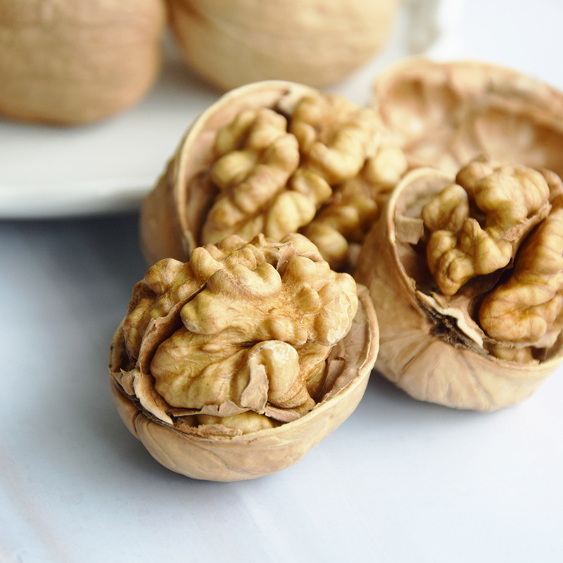 Wholesale Price Xinjiang 185 Walnut in Shell/Chinese Nuts