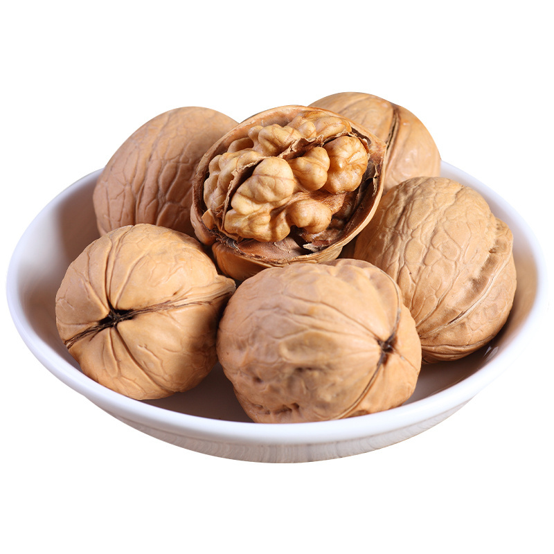 Wholesale Price Xinjiang 185 Walnut in Shell/Chinese Nuts