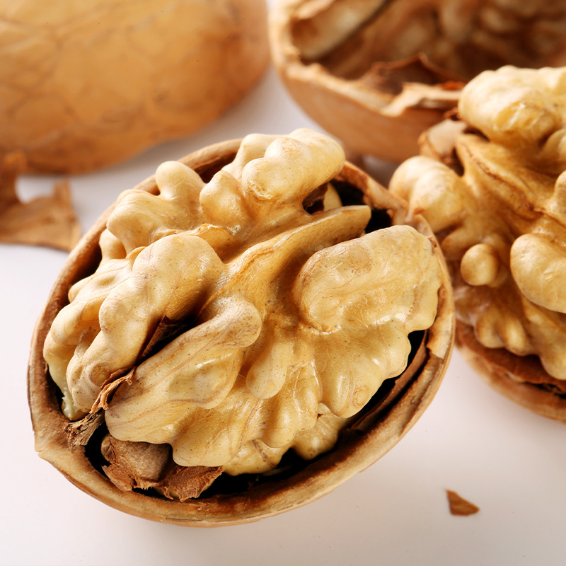 Wholesale Price Xinjiang 185 Walnut in Shell/Chinese Nuts