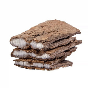 Dried Eucommia bark  Eucommia ulmoides Oliv. bark for weight loss and immune support