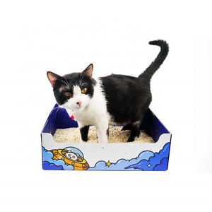 Foldable Travel Outdoor Portability Wholesale Cat Litter Box Accessories Disposable Cat Litter Box Extra Large