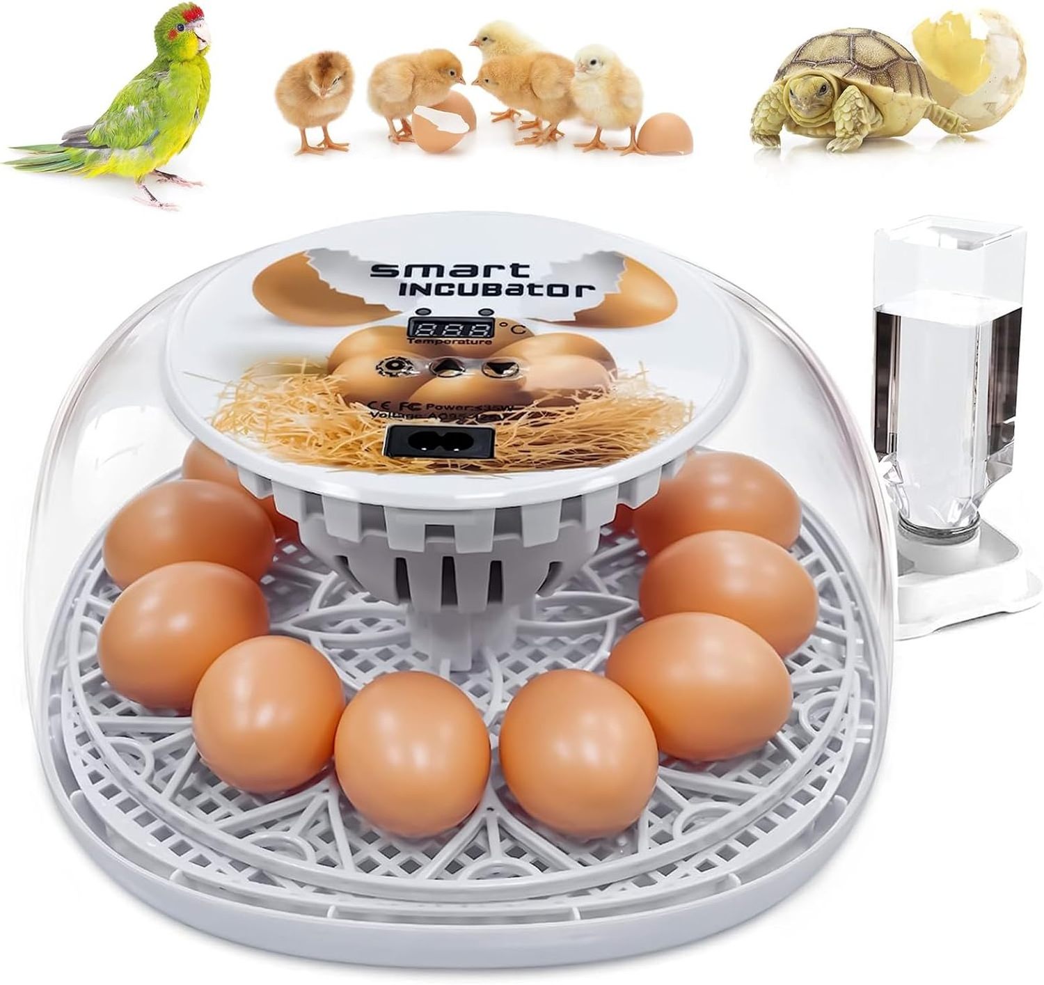 Wholesale Price 80 Egg Incubator Fully Automatic Incubators Hatching Eggs