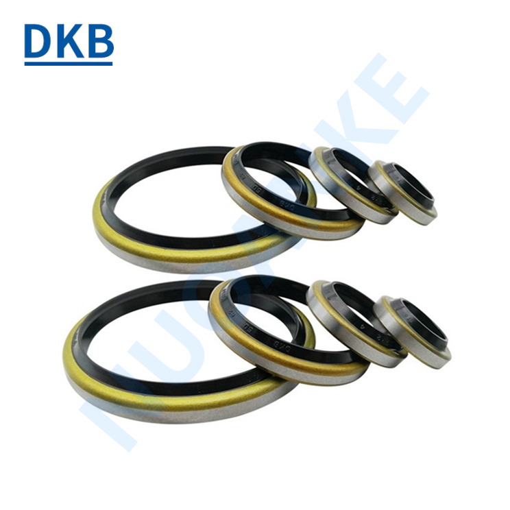 Hydraulic & Pneumatic Dust Wiper Seal DKB DKBI DLI GA DH DHS LBH J A1 PU Rubber NBR FKM Metal Hydraulic Cylinder Wiper Seal