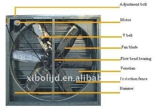 Workshop Ventilation Fans Poultry Exhaust Fan Greenhouse Fan