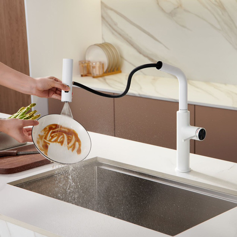 White color kitchen faucet with 2 ways sprayer pull out flexible hose