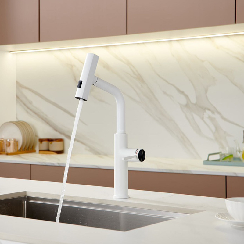 White color kitchen faucet with 2 ways sprayer pull out flexible hose