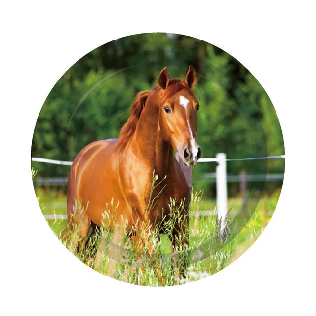 Horse Themed Disposable Tableware Set with Plates Tablecloth Happy Birthday Banner for a Festive Horse Birthday Party Decoration