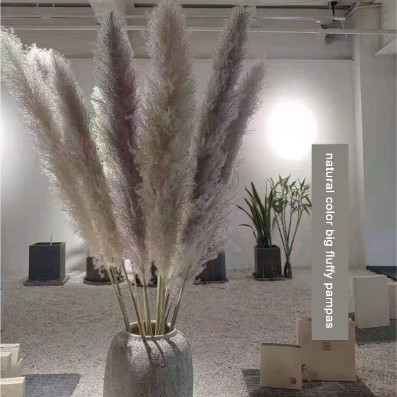 Factory sale big fluffy natural color dried pampas grass 150cm length artificial flowers for wedding decor gray pampas grass