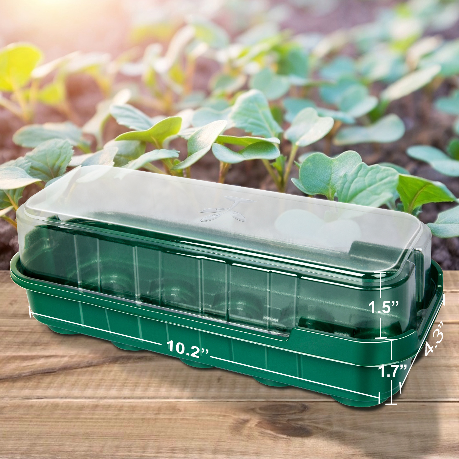 Wholesale Seed Plant Plastic Nursery Seedling Germination Trays