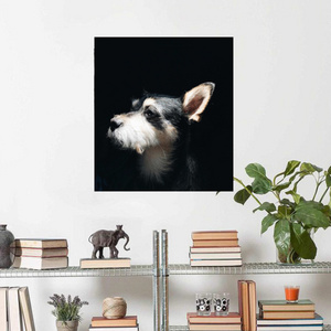 Modern Funny Dog Canvas Wall Art Toughened Glass Wall Mural of Animal Art for Living Room Bedroom Office Home Decoration