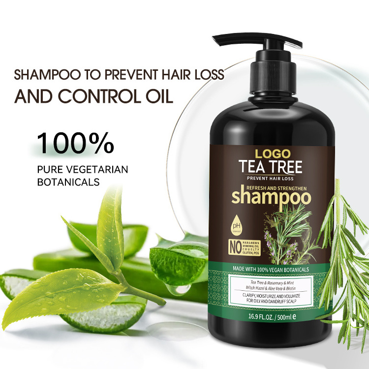 Manufacturer Hair Products Shampoo Ginger Mint Anti-Itching Dangdruff Tea Tree Oil Mens Moisturizing Hair Shampoo