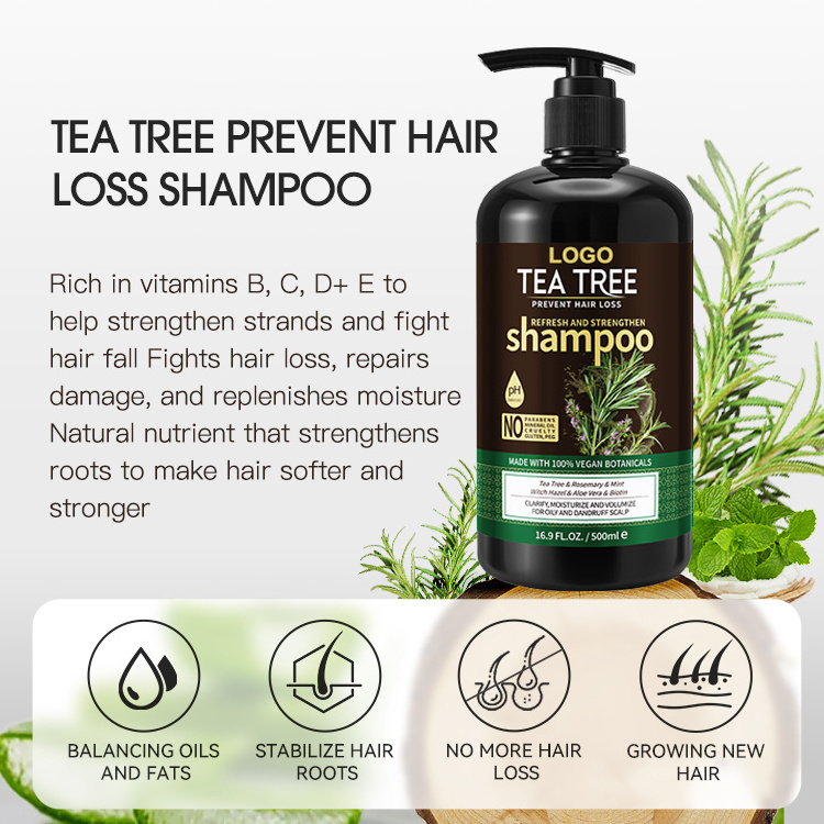 Manufacturer Hair Products Shampoo Ginger Mint Anti-Itching Dangdruff Tea Tree Oil Mens Moisturizing Hair Shampoo