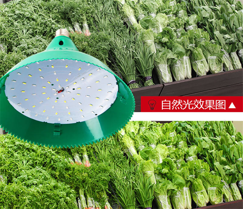 2024 New National Standard LED Light Fresh Meat Vegetable Fruit Lamp Supermarket Vegetable Market Special Pork Lamp Cooked Food