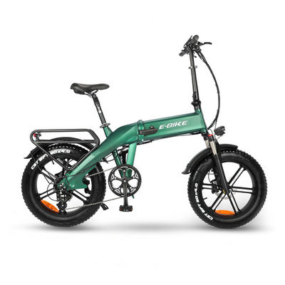 20*4.0 fat tire e bike 1000W big power electric delivery bike E bike/Snow bike/electric bicycle