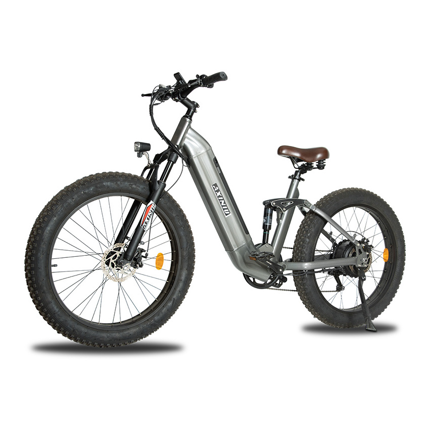 Best Price Electric Road Bicycle Electric Road Bike Beach 750 Watt Ebike 26 Inch 48V Electric Fat Bike