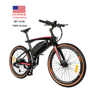 Usa Warehouse Electric Bike Electric City Bike Ebike Fatbike Fat Tire Fast Speed Electric City Bike For Adult