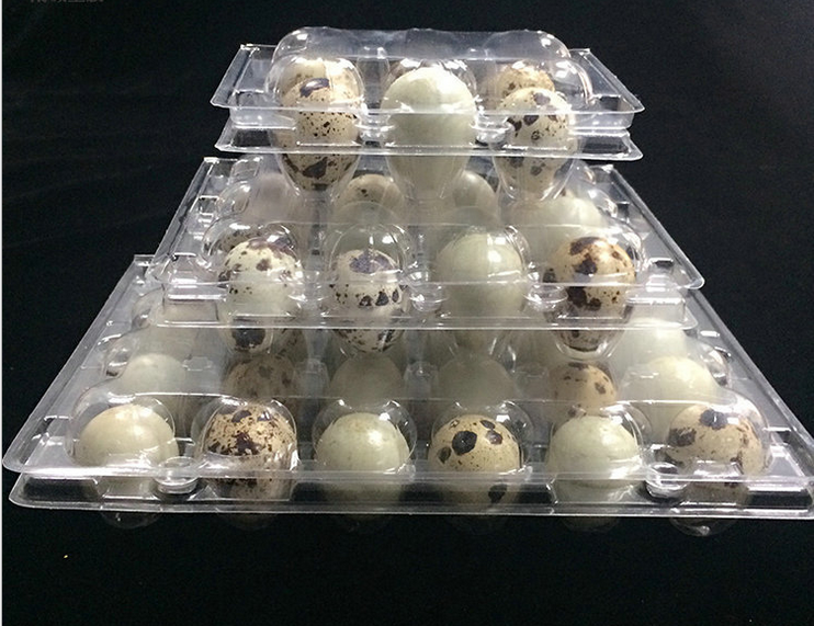 Quail Eggs Packaging Cartons Packing For Quail Eggs