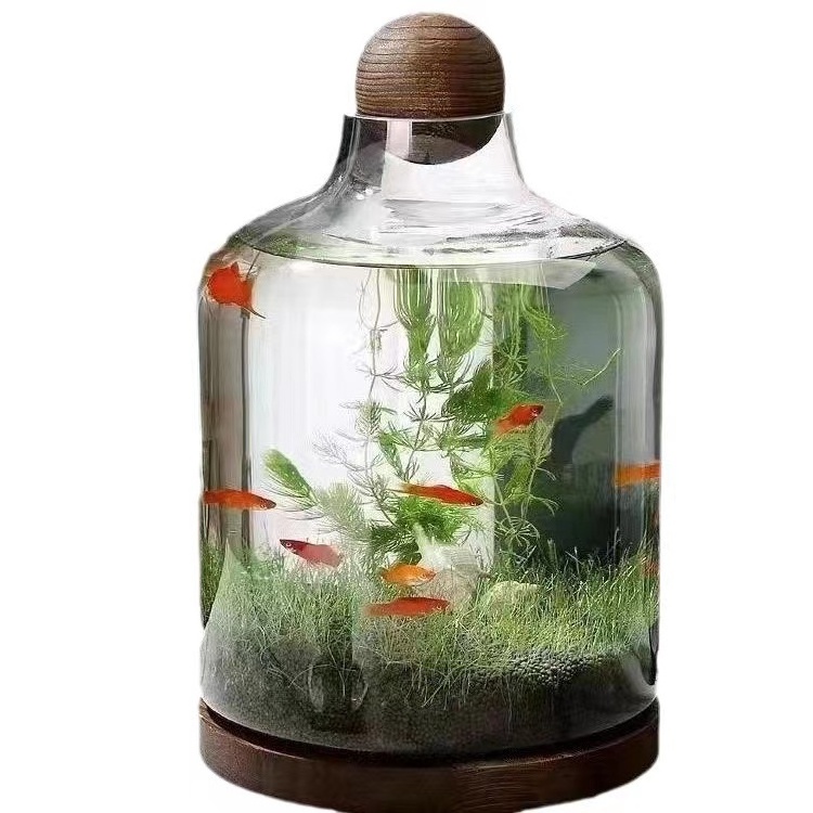 Wholesale Bulk Glass Plant Terrarium with Wooden Stand Large Plant Terrarium Glass with Wood Base