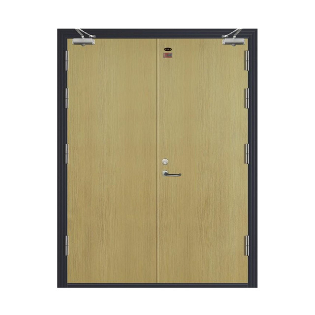 Oversized Steel Heat-insulating Fireproof Access door Double Leaf Steel fire Rated Door