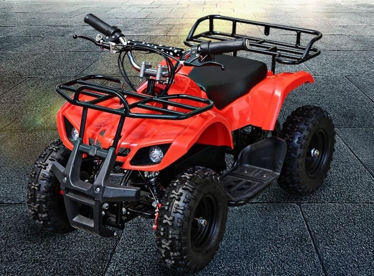 hot sell 24v 300w electric mini ATV Quad Bike for kids