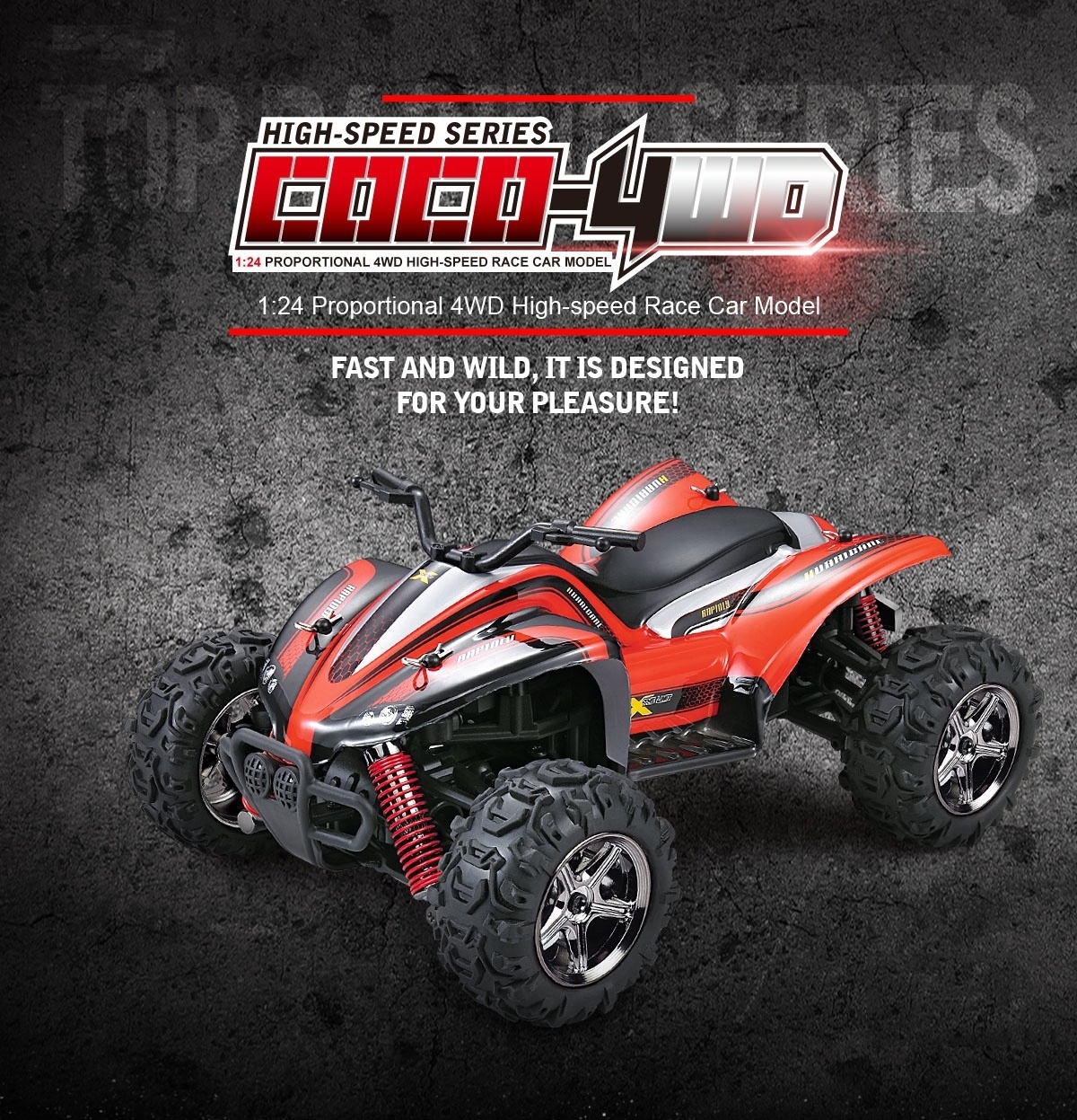 Multi-Style 30Mins Time 40KM/H 1/24 Scale 4x4 Rubber Wheel Off Road Buggy RC Monster Truck