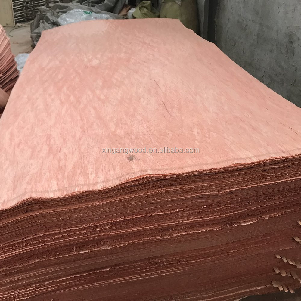 Bintangor Veneer with high quality and cheap price