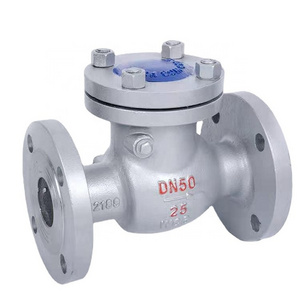 Chinese High Quality Power Plant Brass WCB Casting Flanged Manual Swing Check Valve