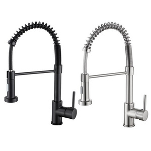 WSY459 Tengbo spring brass tuscany double-handle kitchen faucet with pull down sprayer kitchen sink faucet sprayer