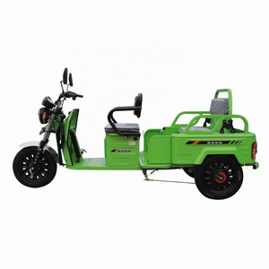 Best Price 500W Adult Motorcycle Passenger and Cargo Transportation High Quality Electric Tricycle 48V Electric Bike 3 Seater