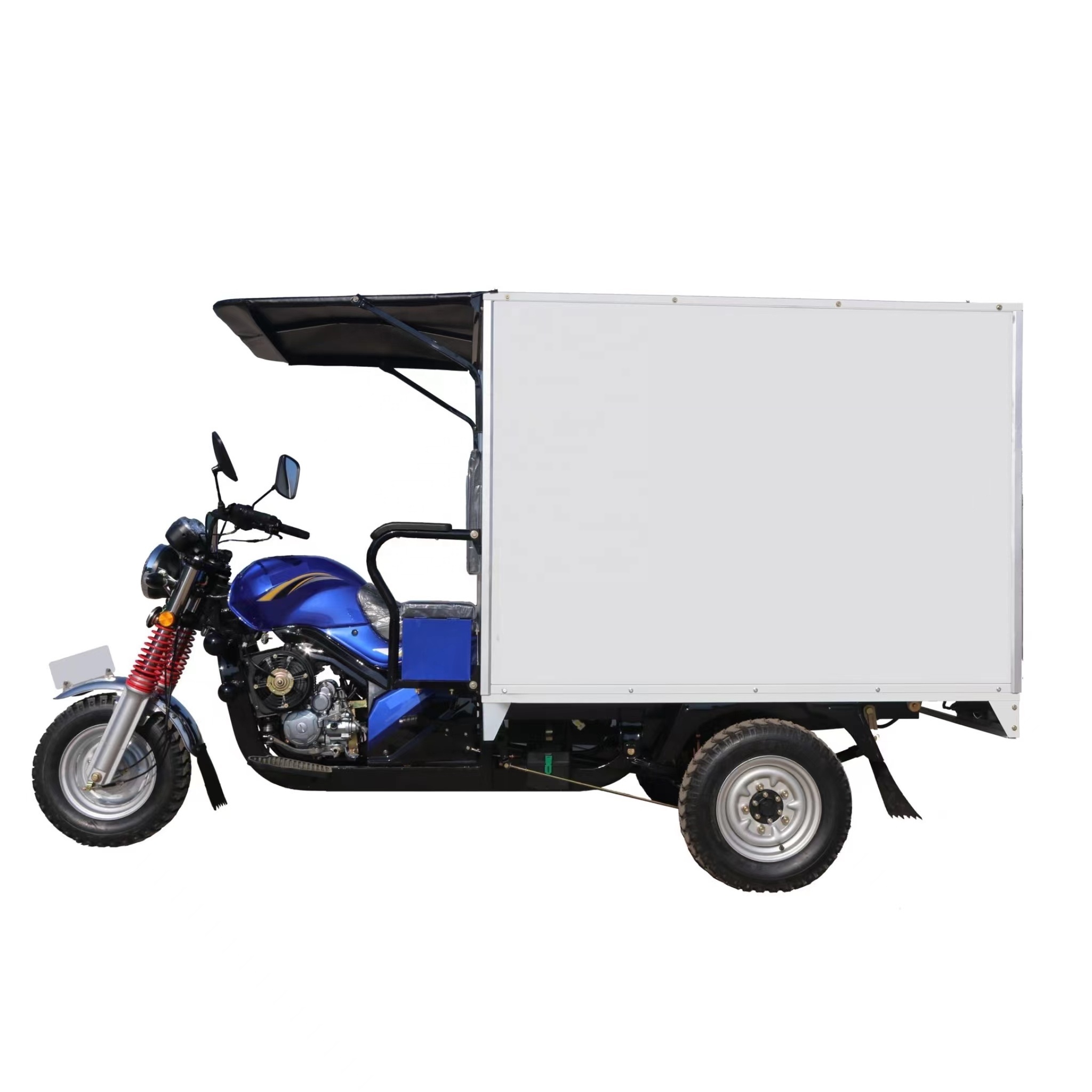 Cargo motorcycle gasoline tricycle cargo bike auto rickshaw moto load capacity gas tricycle motorized tricycle for sale