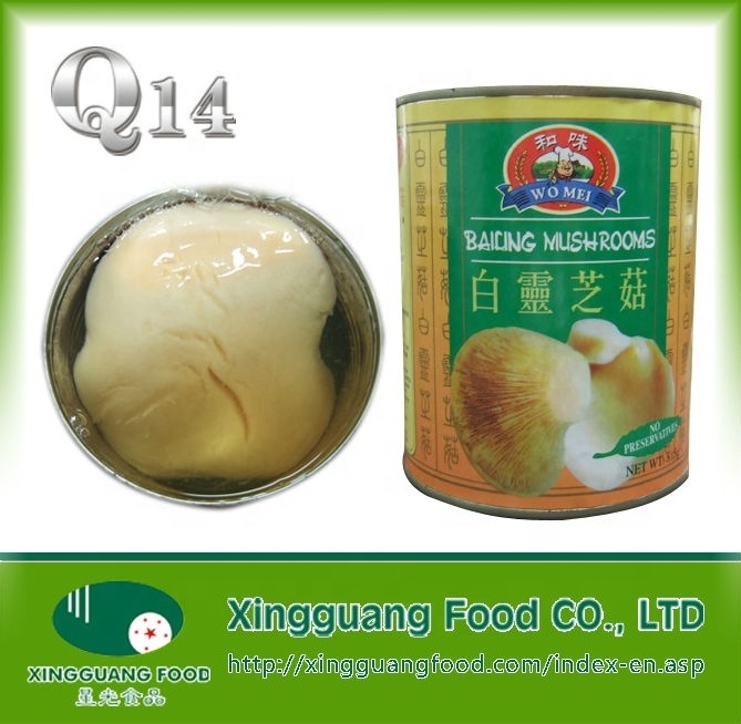 Canned Bailing mushroom 850g