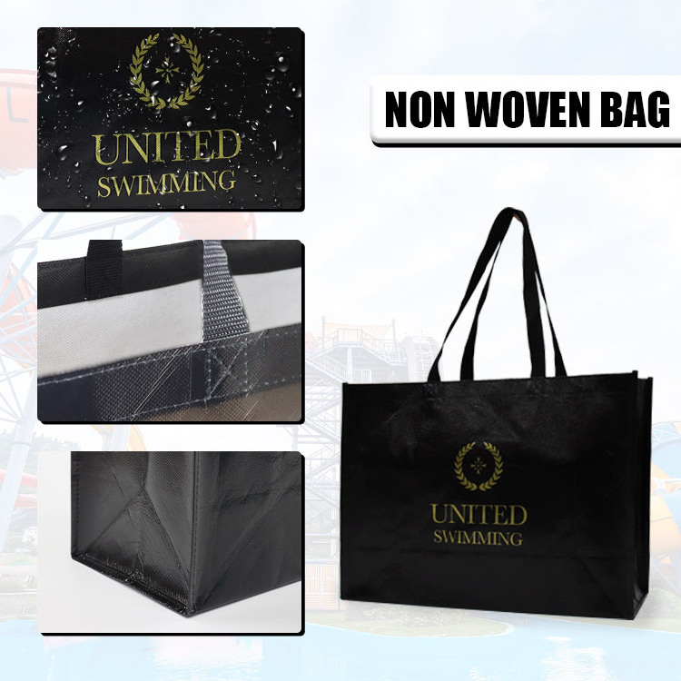 Custom Logo Manufacturer Pp Non Woven Bag Reusable Wholesale Ecofriendly Non Woven Shopping Bag