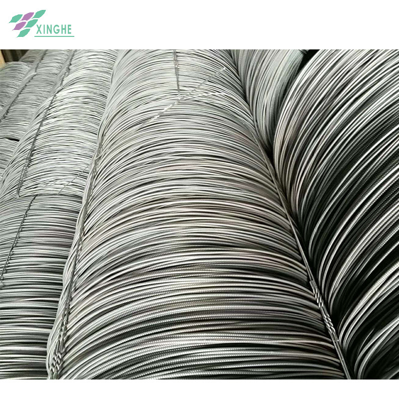 Grade Q195/SAE 1008  Steel Wire Rod Coil for Bolt Made in China