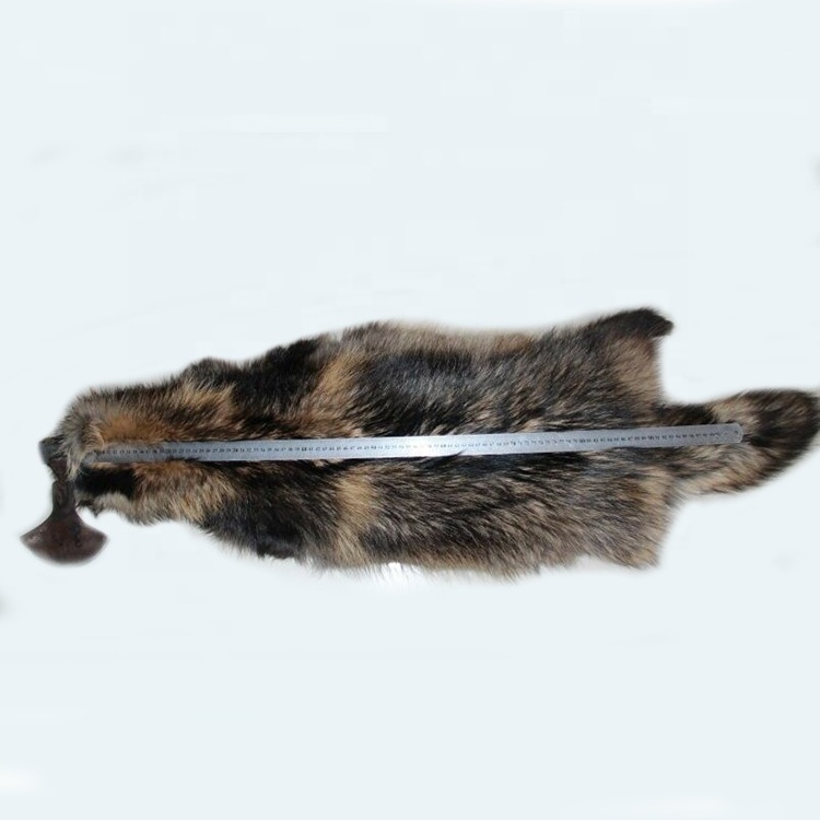 High Quality Dressed Natural Color Real Fur Pelts  Chinese Raccoon Fur Hides Skins