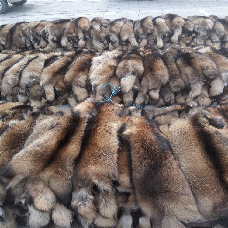 High Quality Dressed Natural Color Real Fur Pelts  Chinese Raccoon Fur Hides Skins