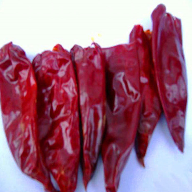 dried red yidu chilli red yidu chili Best Price Chinese Chilli Dried Chilli