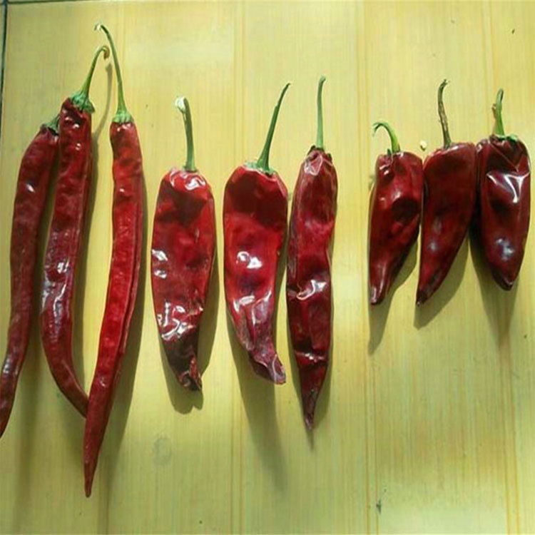 dried red yidu chilli red yidu chili Best Price Chinese Chilli Dried Chilli