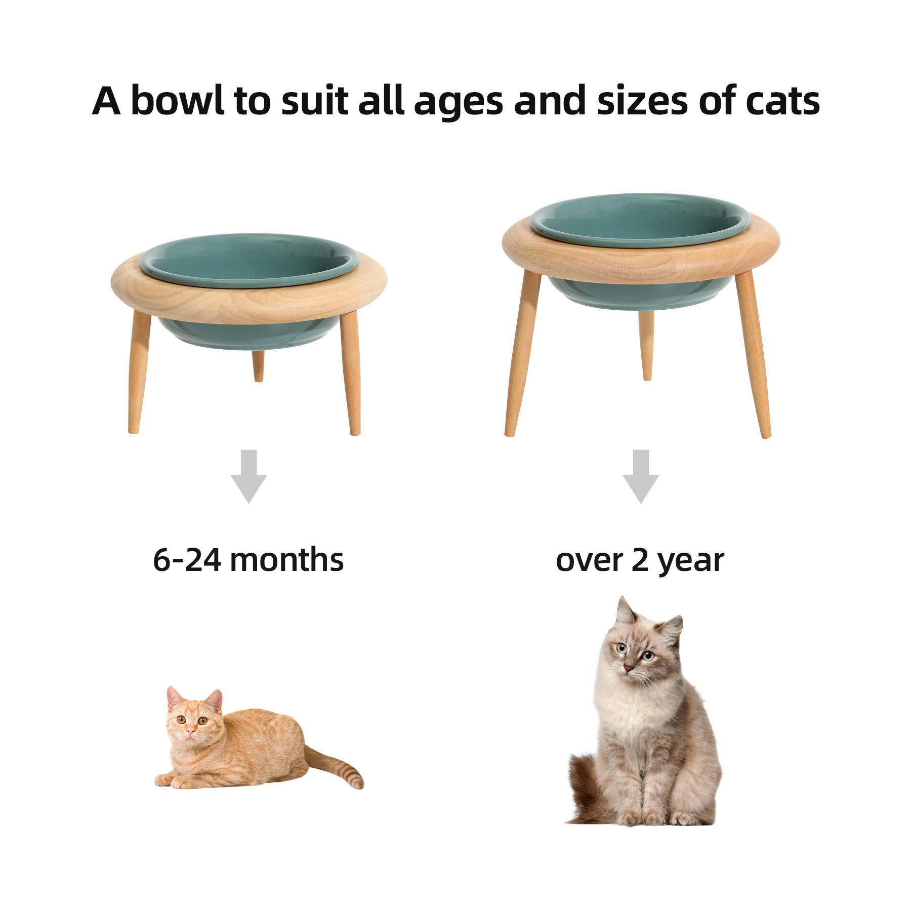 Tilted Raised Ceramic Cat Bowl Adjustable Cat Food  Elevated Protect Cervical Spine Dog Water Pet Bowls  Amazon Ebay Supplies