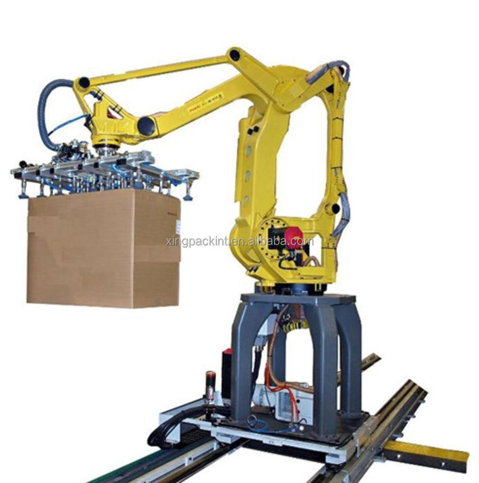 case erector packer sealing machines conveyor palletizer pallet dispenser packing line machines