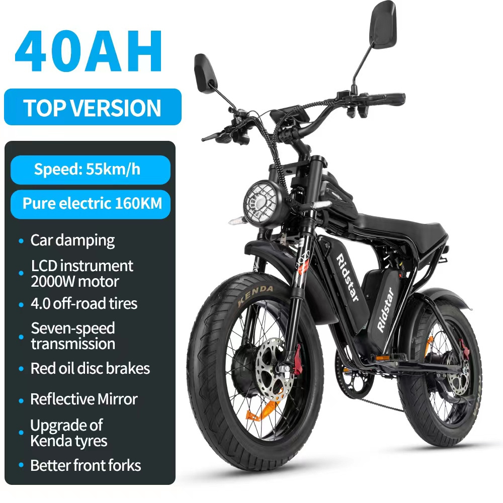 20 Inch Fat Tire Electric Bike 2000W 48V 40AH 50Km  Bicycle Mountain Cycling Off-Road 48V City Ebike Alloy Frame for Adults