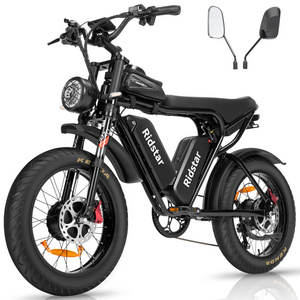 Electric Bike for Adults 20'' City Ebike Ebike 2000W Motor 52V 20AH Double Battery LCD Battery sand beach snow ebike fat tire