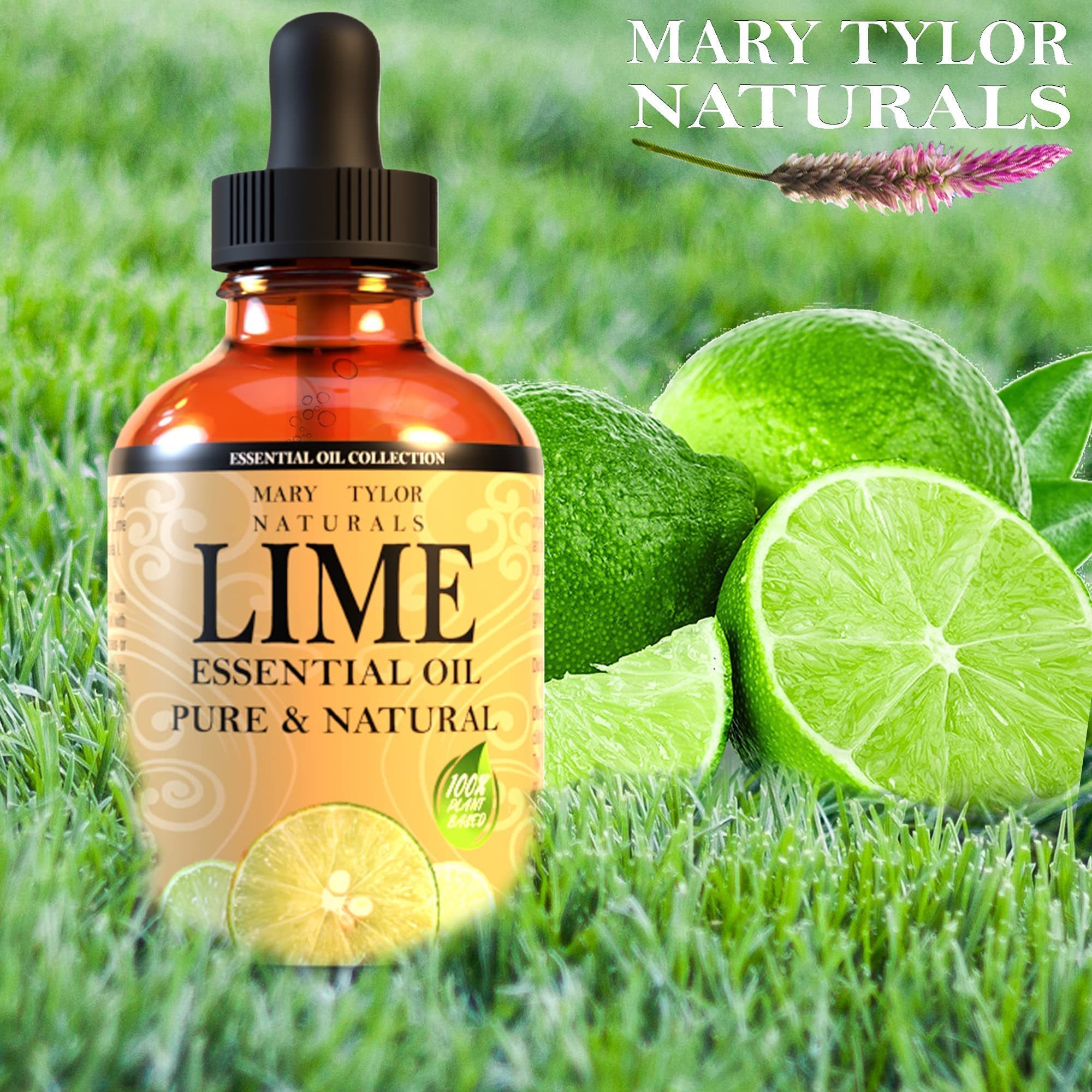 Custom logo 4 oz 100% fresh air Pure and Natural Therapeutic Grade Lime Essential Oil with  package box