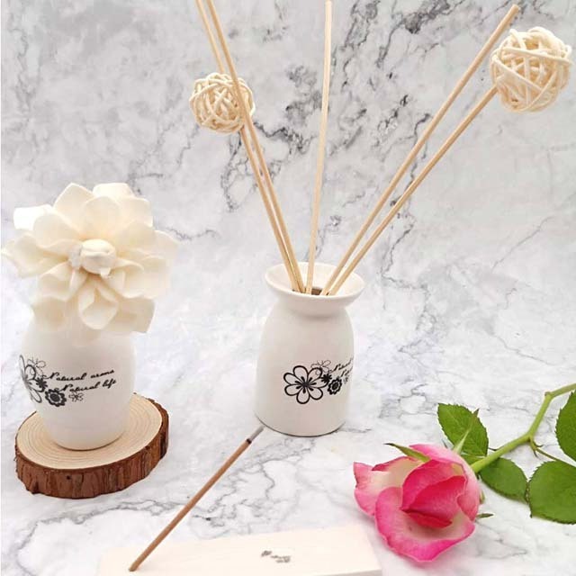 100ml Home Fragrance Air Freshener common fig Reed Diffuser Aromatic Perfume Scent Set