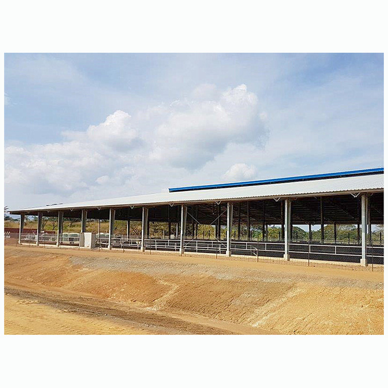 Prefab Cow Easy Install Prefabricated Customized Cattle Farming Barn Light Steel Structural Structure Cow Hangar Metal Shed