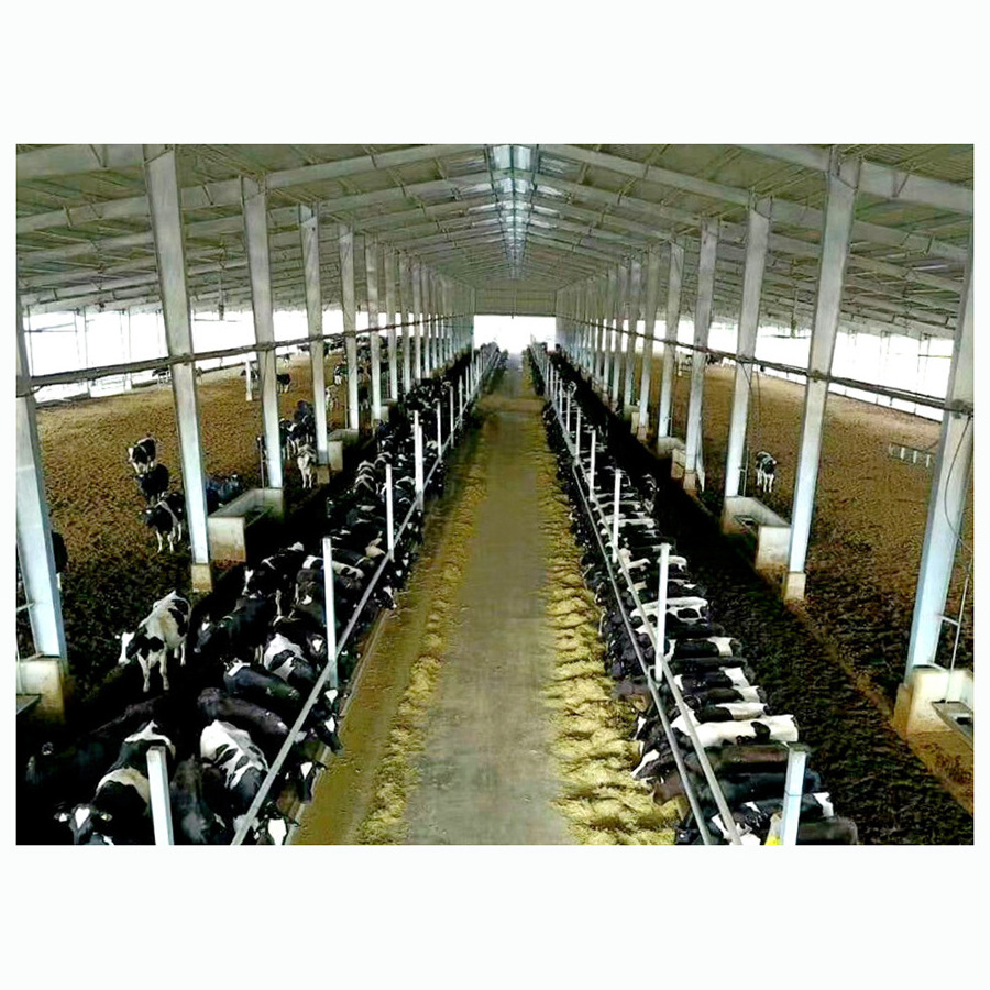 Prefab Cow Easy Install Prefabricated Customized Cattle Farming Barn Light Steel Structural Structure Cow Hangar Metal Shed