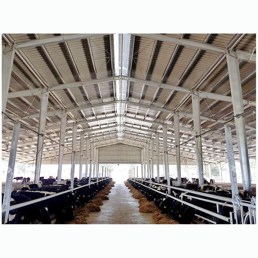 China Fast Install Low Cost Prefabricated Farm Cattle Shed Industrial Light Steel Structure Cow Dairy Farm Construction Building